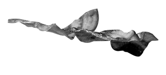 MenuPage_03_Bacon-min