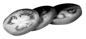 MenuPage_06_Tomato-min